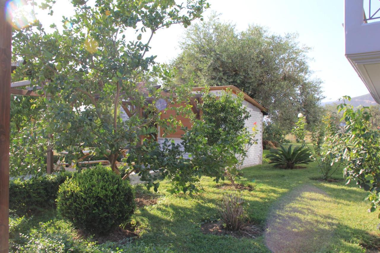 Vila Hadhri Борш Экстерьер фото